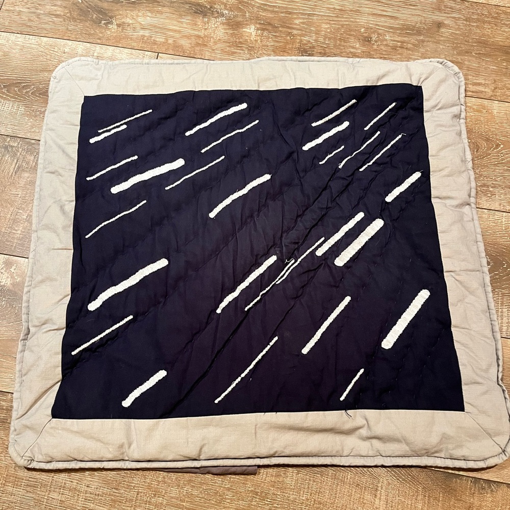 Pottery Barn Star Wars Euro Shams